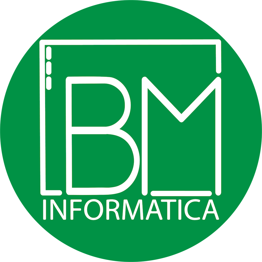 BM Informatica S.r.l.